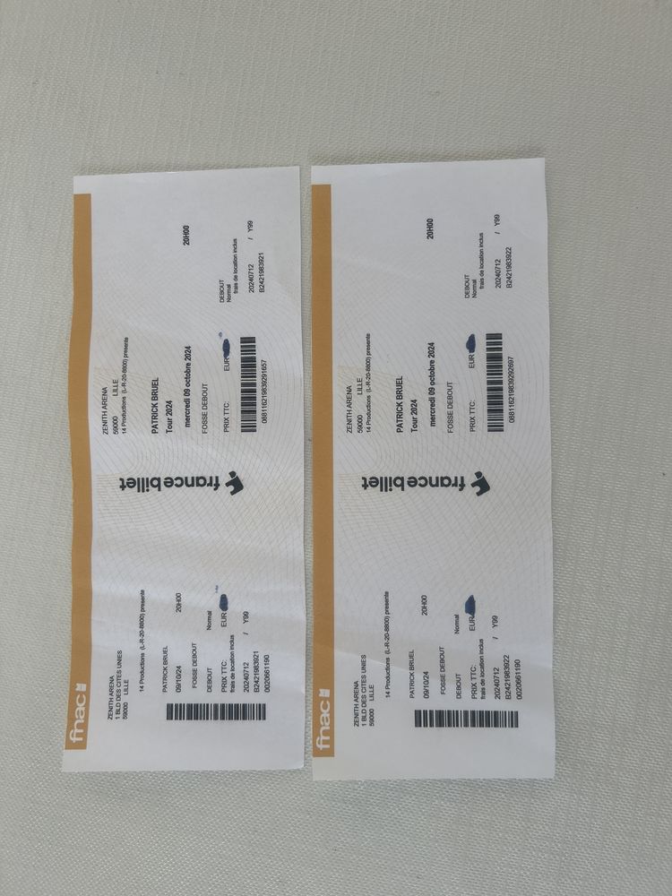 2 places de concert pour Patrick Bruel 20 Les Alluets-le-Roi (78)