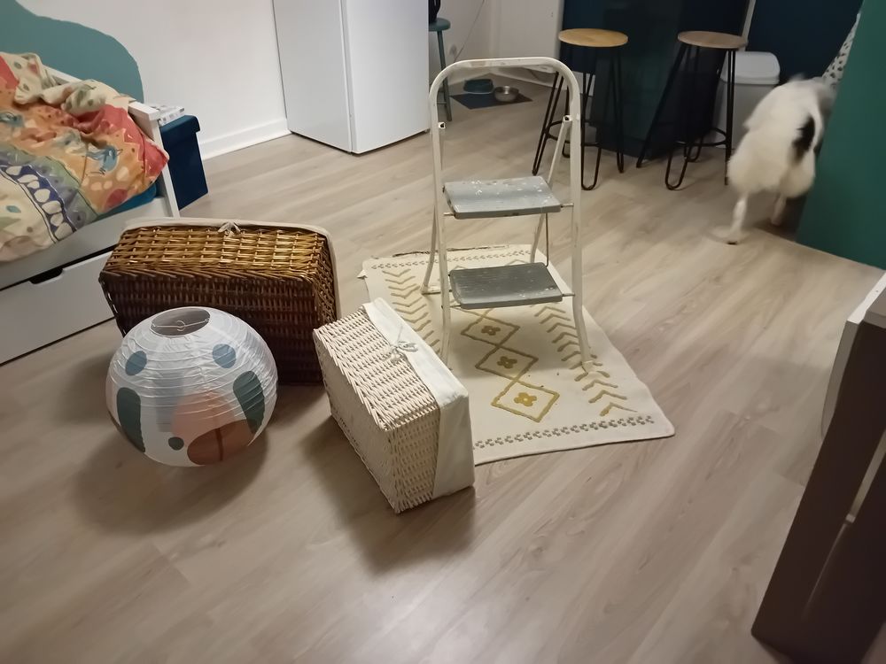 Double rideaux,tapis lampe assortis 59 Saint-Maur-des-Foss�s (94)