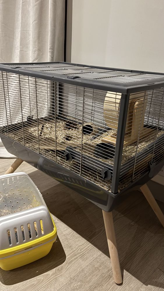 Kit complet : cage rongeur (roue silencieuse, liti�re, etc) 95 Toulouse (31)