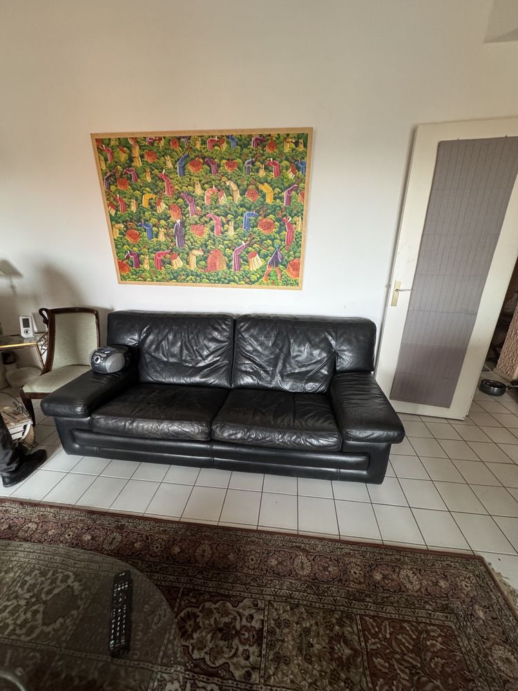 Canap� Roche Bobois, en cuir 0 Toulouse (31)