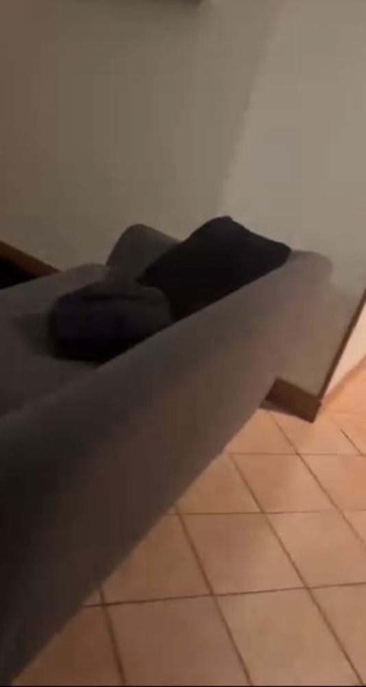 Vend canap� 150 Albi (81)