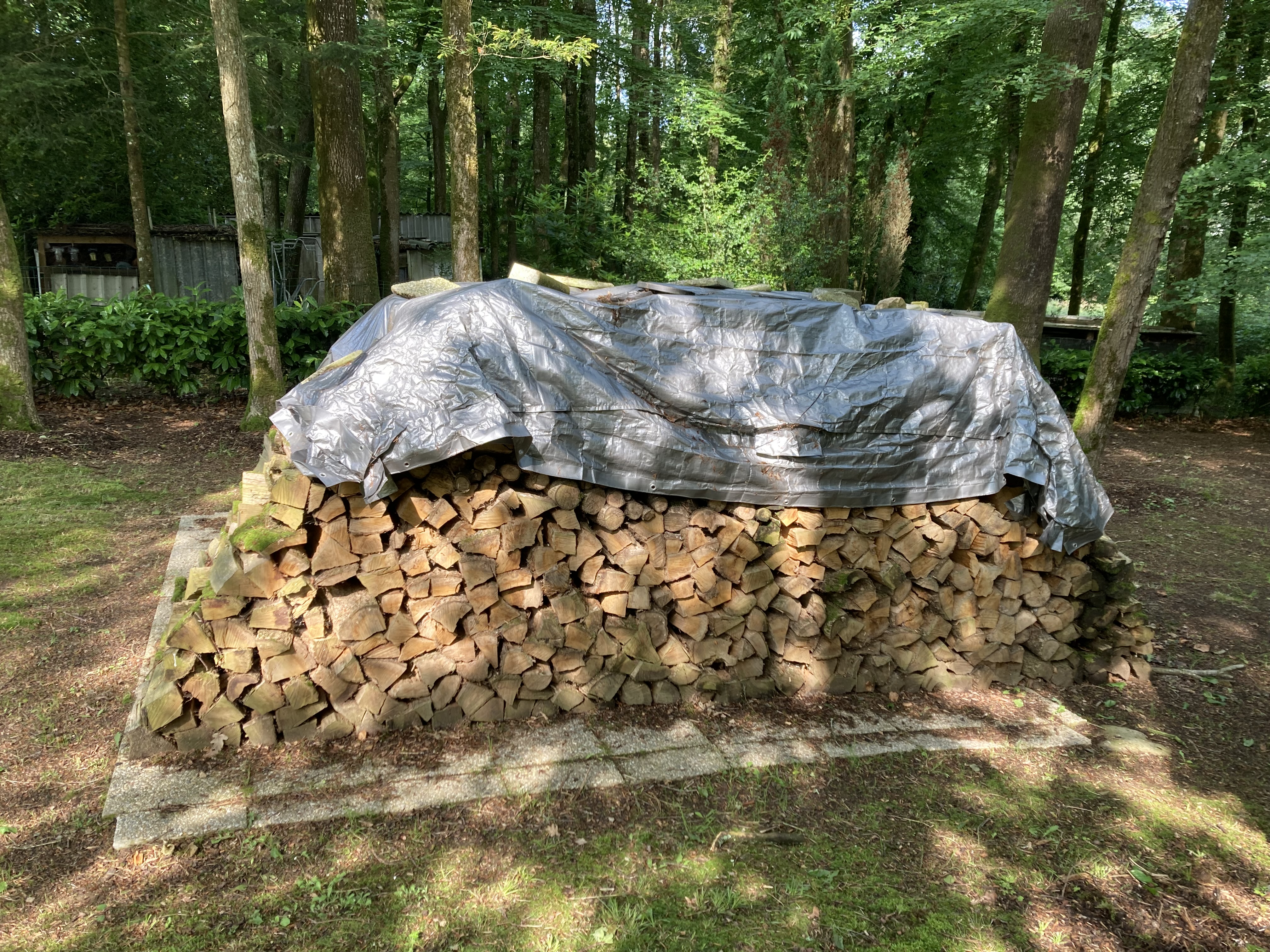 2 corde de bois de chauffage (ch�ne) 600 Bignan (56)