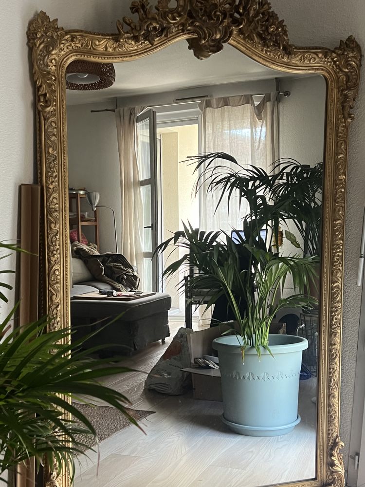 Miroir 200 Toulouse (31)