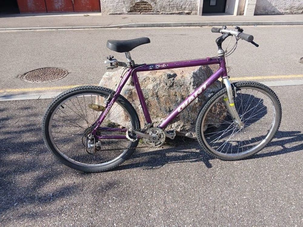 V�lo homme 25 Neuf-Brisach (68)