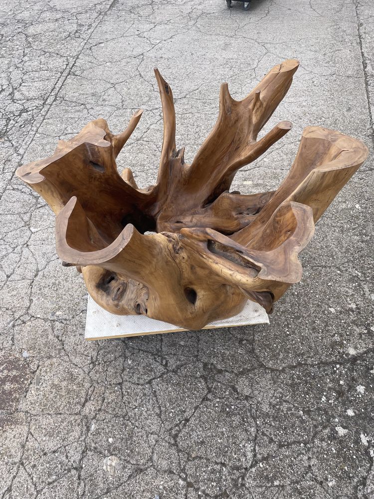 Table basse en Olivier 450 Castelnau-de-Guers (34)