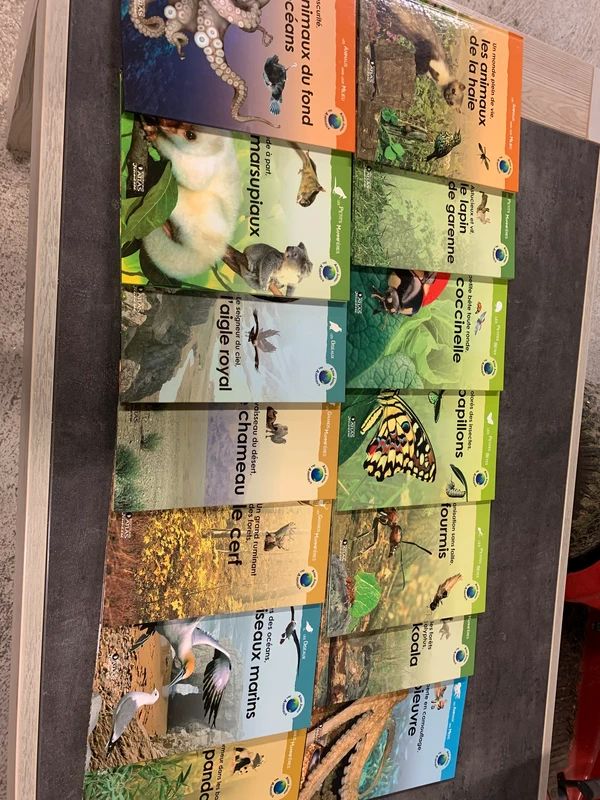 Atlas junior 3 Chassy (89)