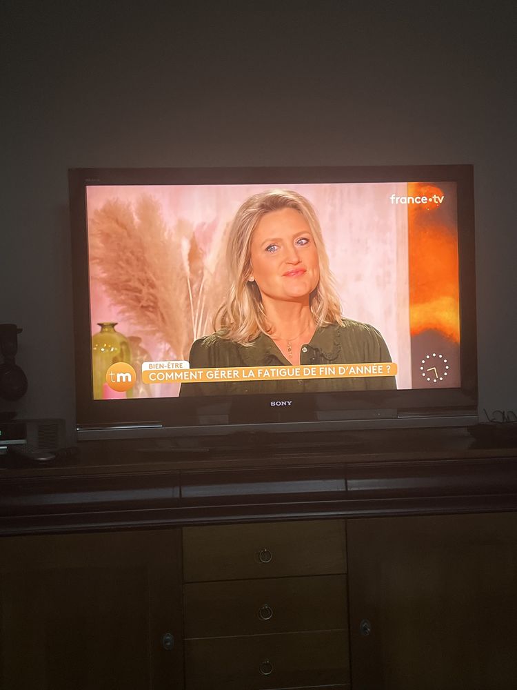 B
Vends TV Sony Bravia LCD 55 70 Buis-les-Baronnies (26)