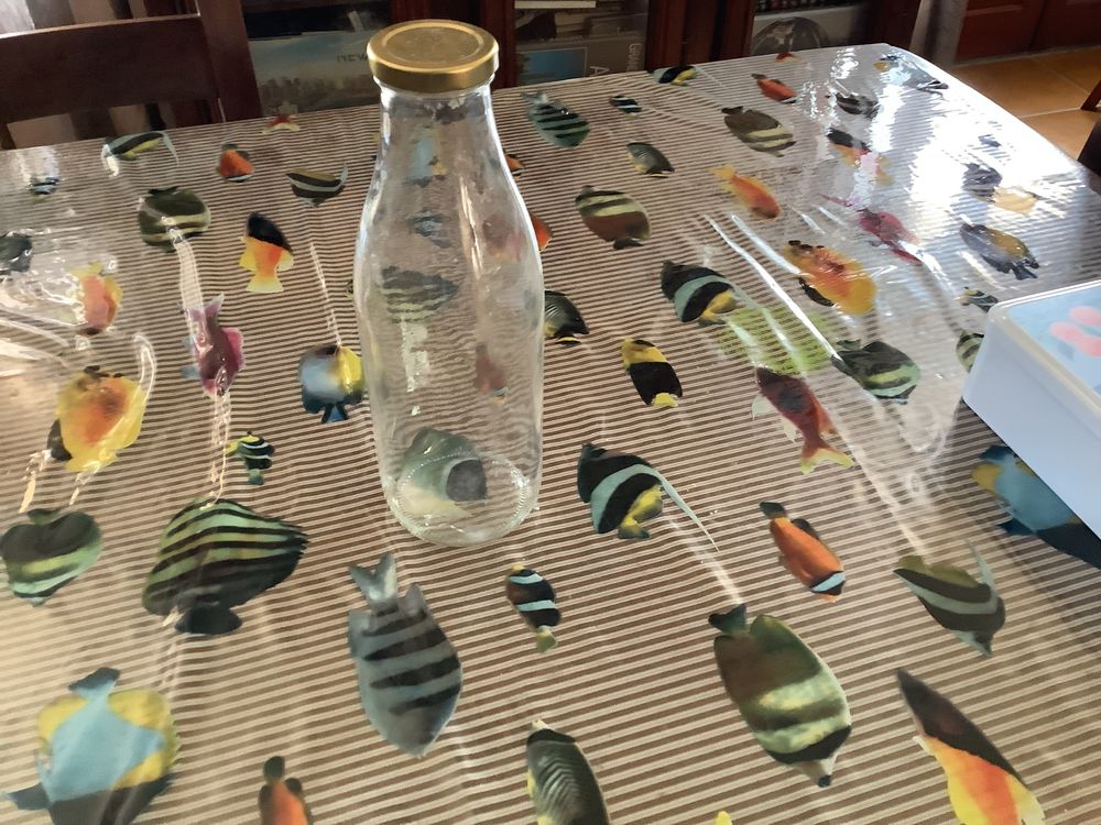 A vendre bouteille � jus 0.6 Aubin (12)